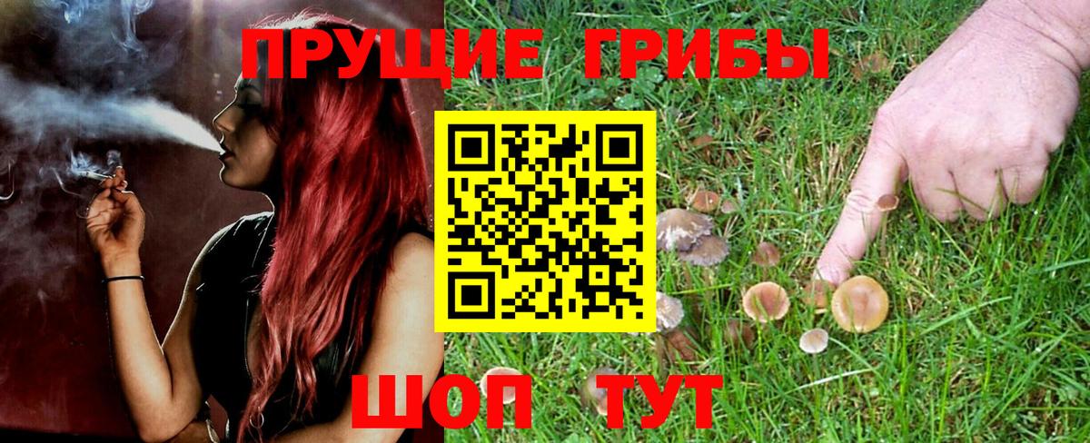 Галлюциногенные грибы Psilocybine cubensis  купить наркотики сайты  Луховицы  Галлюциногенные грибы GOLDEN TEACHER  Вход с VPN 